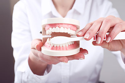 The image shows a person s hand holding a dental model with a toothbrush placed on the front teeth, and there are other dental models in the background.