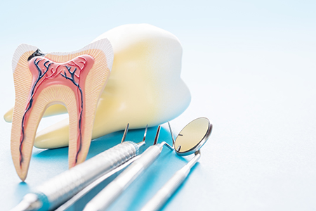 Family Health Dental of New York, PLLC